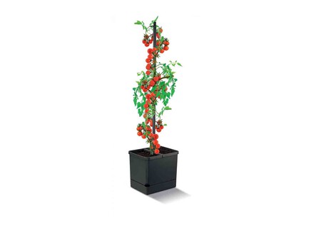 Torre Para Plantas Con Deposito De Agua Zoom 6