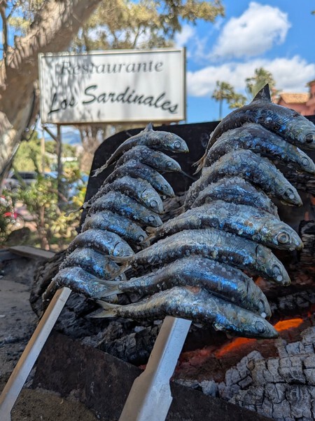 Espeto En Los Sardinales