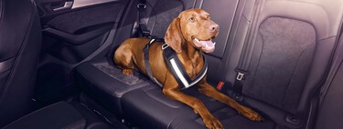 Este accesorio es una de las mejores compras que he hecho para el coche. Me permite viajar con mi perro de forma segura y evitar un multón