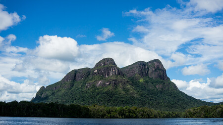 Más de 300 años de la llegada de los europeos al Nuevo Mundo, la Amazonia ya había sido despoblada y reforestada