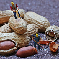 Del fin de la tarifa plana al registro de TRADE, así se presenta el otoño para los autónomos 