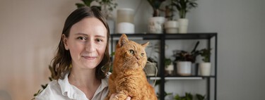 Los veterinarios están de acuerdo: el apego de los gatos está determinado por el afecto de sus propios dueños 