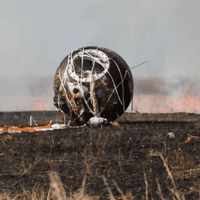 Estranho experimento russo: por que uma nave com camundongos e moscas foi enviada para a órbita da Terra por 30 dias?