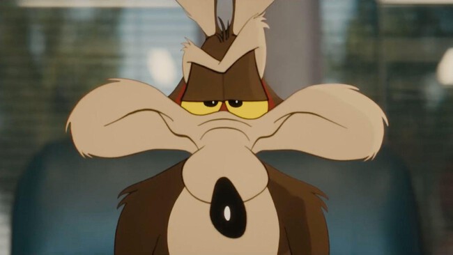 Coyote Vs Acme Star Is 22thrilled 22 Looney Tunes Movie Is Getting A Release Imdb