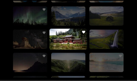 Immich Android Tv Javipas