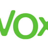 Los matices de la extrema derecha: el caso de Vox frente a sus homólogos 