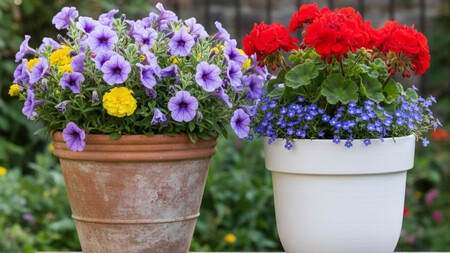 Maceta de plástico o de barro: cuál es la mejor opción dependiendo de las flores