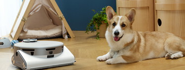 Samsung quiere que sus robots aspiradores vigilen a tu mascota: estas son las funciones más importantes que ya puedes usar