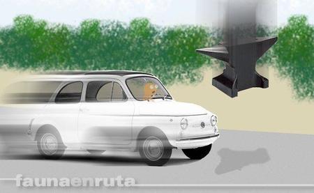 fauna en ruta: cosas que te encuentras por la carretera