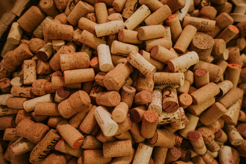 Así puedes convertir los corchos de las botellas en pequeñas macetas