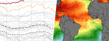 Los expertos empiezan a ponerse nerviosos: "Es probable que hayamos registrado la temperatura más alta del mar desde hace 125.000 años" 