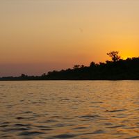¿El Gobierno de Bolsonaro está quemando el Amazonas o hay algo más en la mesa?