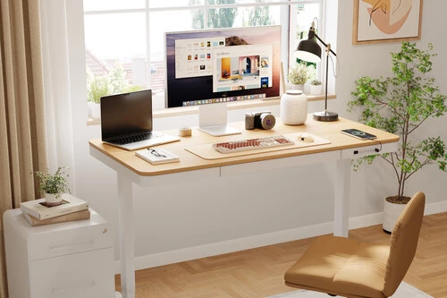 Escritorio elevable Flexispot (Series E1 Pro)