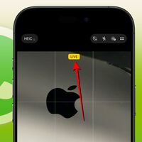 Soy el único de mis amigos que usa las Live Photos del iPhone. Con lo último de WhatsApp espero convencerles 