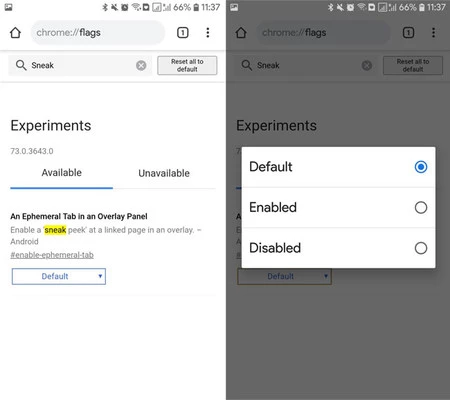 スニークピーク