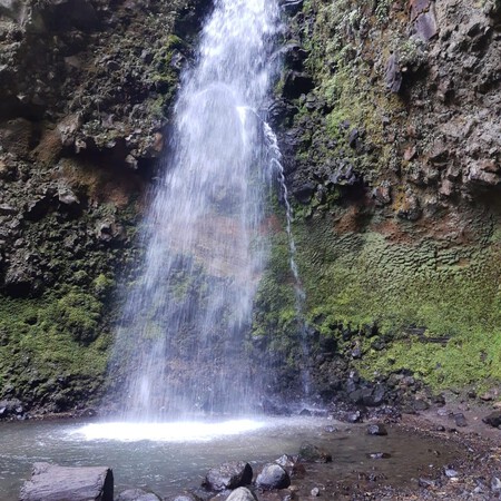 No es Puebla ni Hidalgo, este paraíso con cascadas se encuentra en Edomex y puedes llegar a solo 1 hora de la CDMX