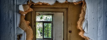 Ensucian las casas y destruyen muebles de madera: 5 sencillos consejos para deshacerse de las termitas