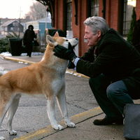 Los perrunos de la oficina tenían razón: expertos de Harvard confirman que para mejorar la productividad tienes que llevarte tu mascota al trabajo