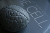 El problema de la disfunción cerebral mínima en los niños 