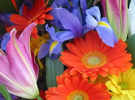 Flores frescas durante más tiempo