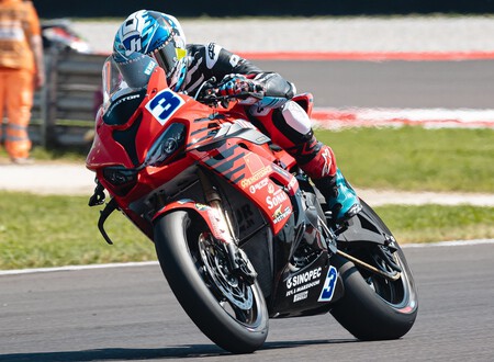 De Rosa Cremona Ssp 2025