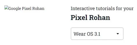 GoogleはそれをPixel Rohanと呼んでいます(この名前はすでにリークされていました)が、それが最終的な商品名になるかどうかはわかりません
