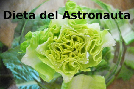 Dieta del astronauta. Análisis de dietas milagro (XXXVII)