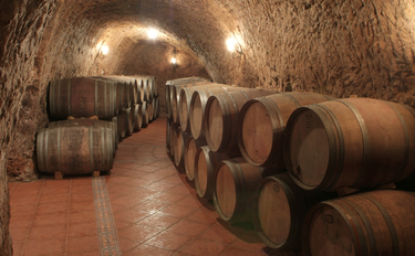 Las bodegas más singulares de Ribera del Duero