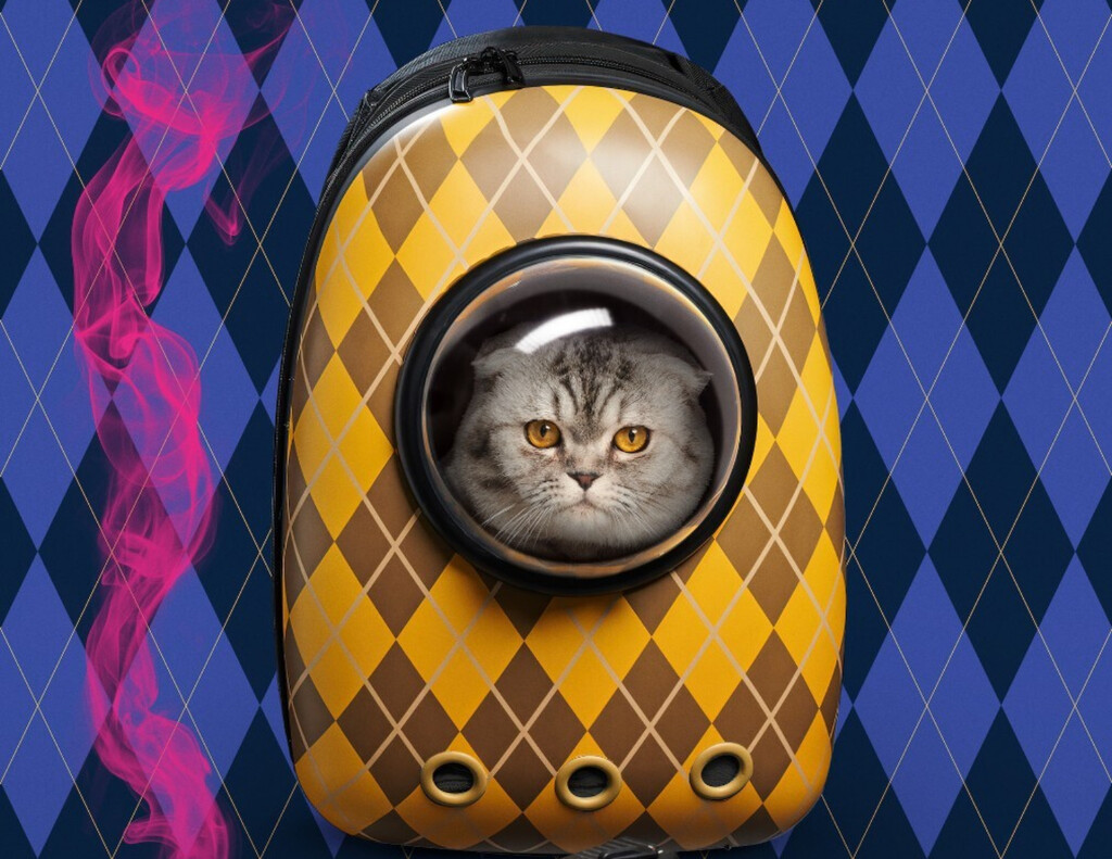 El último éxito viral de Xiaomi no es un móvil ni unos auriculares: es una cesta para gatos y se ha agotado en minutos