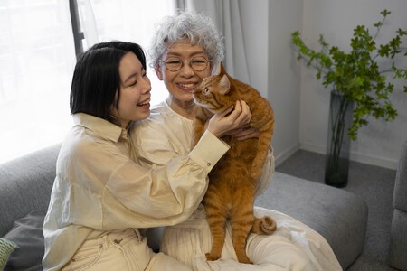 Familia De Vista Lateral Con Lindo Gato 2