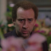 Hace 24 años, Nicolas Cage dijo no a ser un villano de Spider-Man. Casi acaba ganando su segundo Oscar por esa decisión