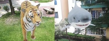 Tigers, sharks and other animals in 3D with augmented reality: how to do it, what are the animals and what do you need