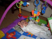 La (temible) avalancha de juguetes educativos