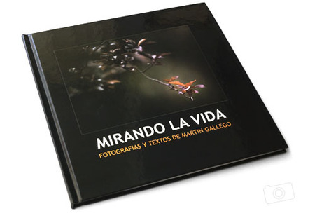 Mirando la Vida, un libro de Martín Gallego