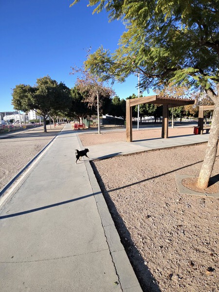 Oakley Meta Vanguard Camara Foto 07