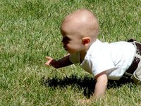 Precauciones a tomar cuando empiezan a gatear