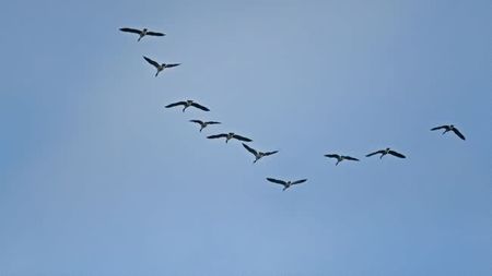 Breves pasos para ayudar a las pymes la migración a la nube