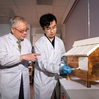 El tipo de pintura de tu fachada es fundamental para que la casa esté fresquita en verano. Esta promete bajar hasta 9,5 ºC la temperatura 