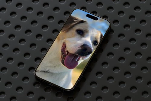 Foto