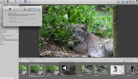 Configura Photo Stream en iCloud de manera sencilla