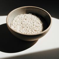 Apple desmiente uno de los mayores mitos de la tecnología y recomienda no utilizar arroz para secar tus dispositivos mojados