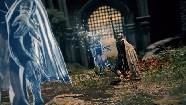 Elden Ring Hacker