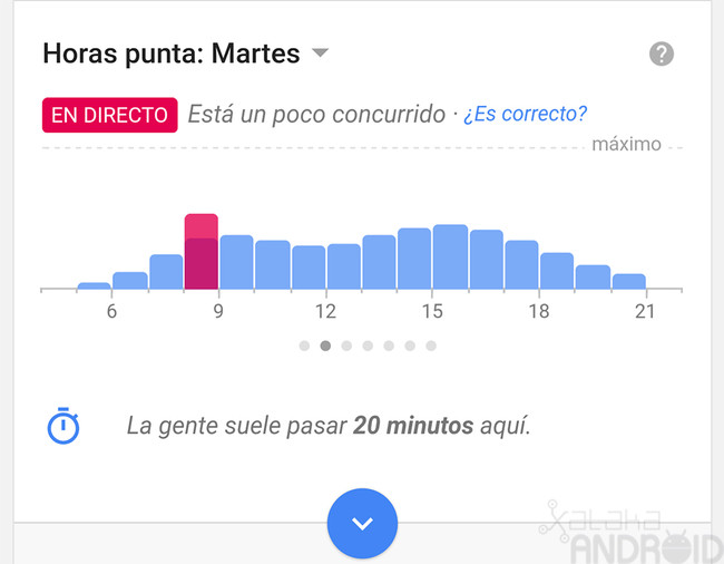 Google en directo