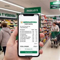 La web de Mercadona para guardar en favoritos: así puedes recuperar cualquier ticket perdido 