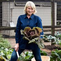 Martha Stewart, a sus 84 años: "Camino muchísimo, tres veces a la semana hago sesiones de pilates de 45 minutos y dos, mancuernas y máquinas.  Uso casi las mismas pesas de siempre, así que estoy muy fuerte" 