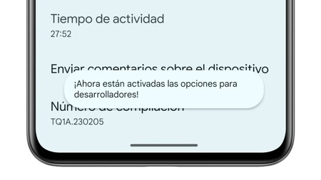Opciones Desarrollador