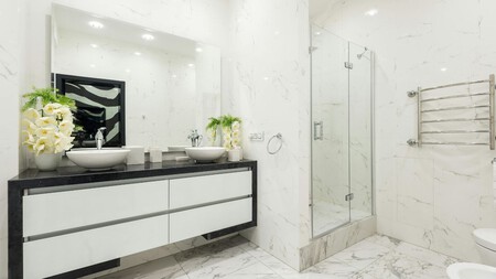 Plantas En El Baño