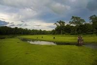 El Parque Nacional de Chitwan en Nepal 