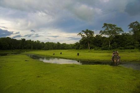 El Parque Nacional de Chitwan en Nepal