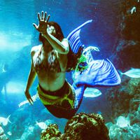 De fiestas infantiles a musicales bajo el agua: el sirenismo se ha convertido en un negocio muy rentable